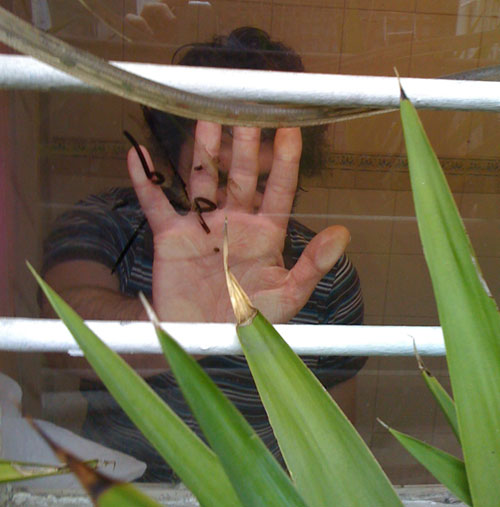 Mcinerney Paparazzi Scandal